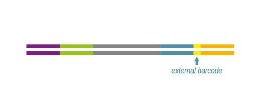 07quantseqflex_workflow