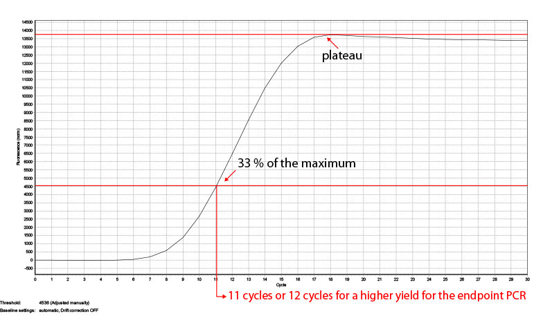 Calculation1