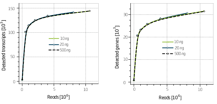 Detected_transcripts_and_genes