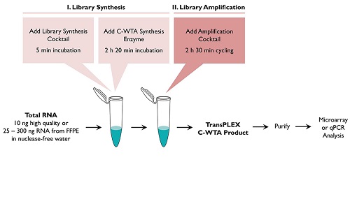 New-2-tube-workflow-082515-forslider