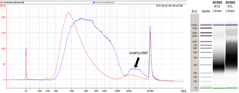 Overcycled_SENSE_Libraries1