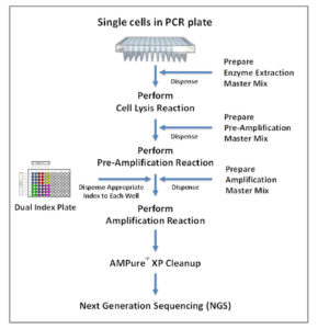 PicoPLEX-DNA-seq-workflow-with-index-plate-WEB-4