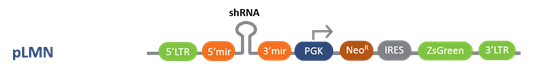 pLMN-Retroviral-Vector